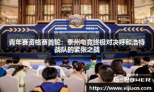 快盈V